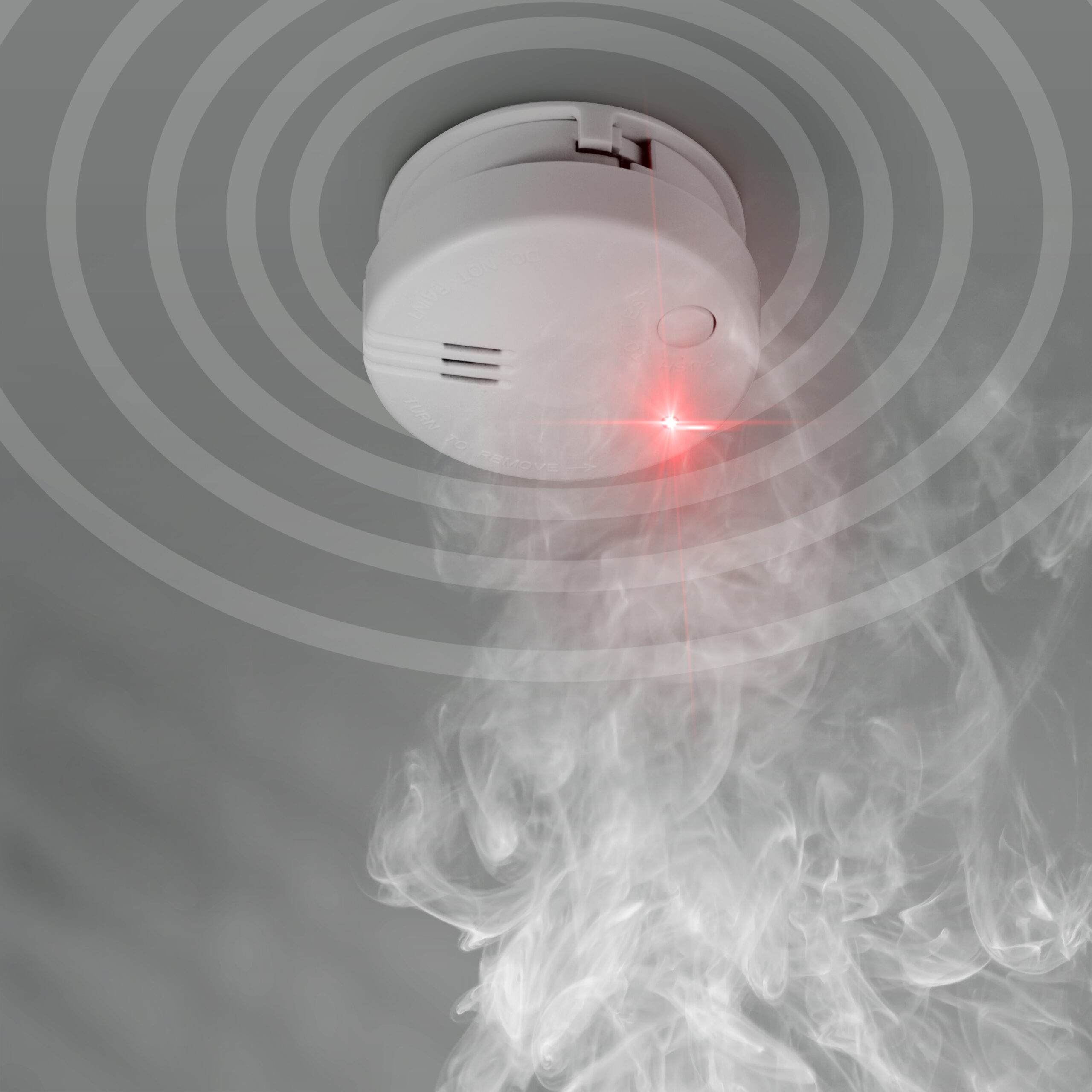 Minirookdetector met batterij voor 5 jaar Wit - Afbeelding 4