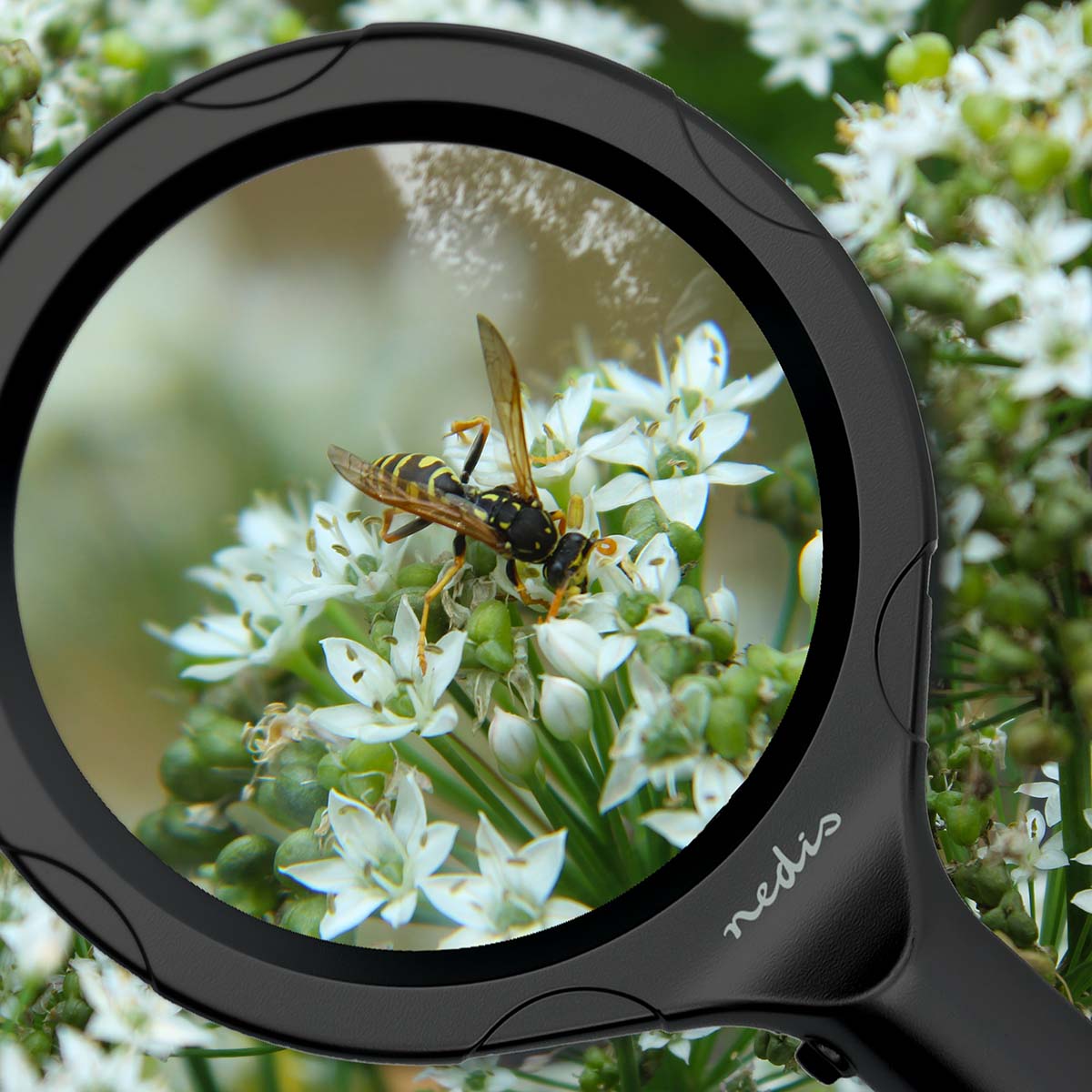 Handloep | Lenssterkte: 4 Diopter | 10000 K | 0.05 W | 9 lm | Zwart - Afbeelding 8